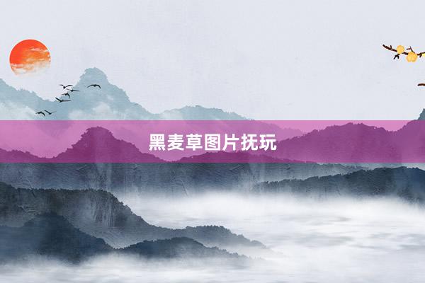黑麦草图片抚玩
